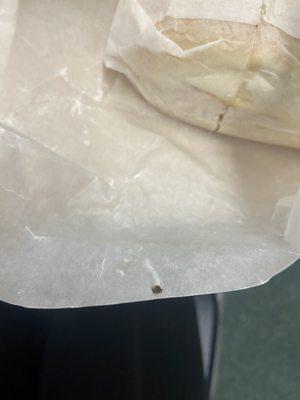 Bug wrapped in my sandwich