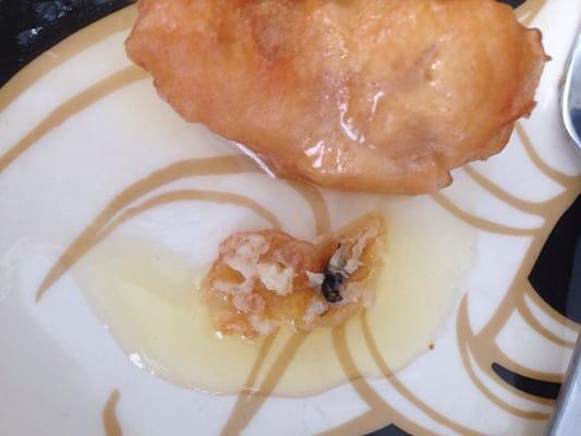 Dead flies fried into the lemon chicken.