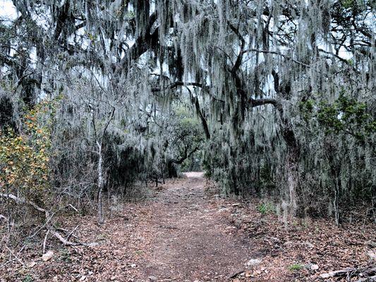 Joe Johnson Trail