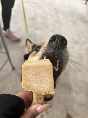 MUTTS PUPSICLE