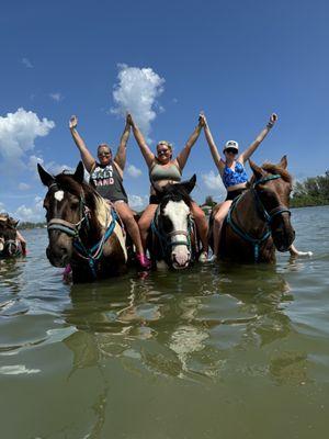 Horses left to right. Mogli, Mako, and Neptune.