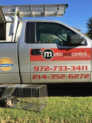 Wildlife doesn't stand a chance when you call Metro Pest Control