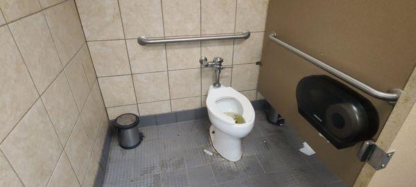 Handicap stall stopped up toilet very nasty