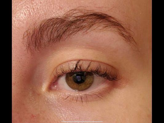 Lash lift/brow lamination