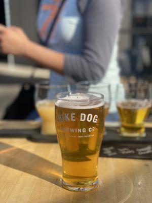 Bike Dog Brewing Co