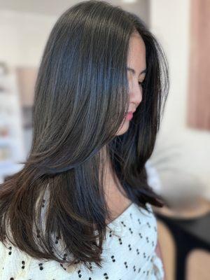 Layered haircut and blowout by Cheriece Harris at Sage and Oak Salon in downtown Pleasanton