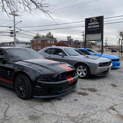 A lineup of American Muscle Cars waiting to get serviced at Dominick's