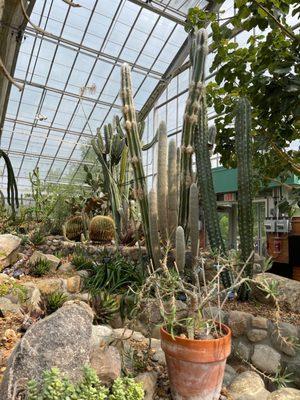 Inside Matthaei Botanical Gardens