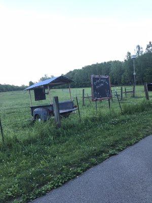 Super cute farm stand that sometimes sells eggs!