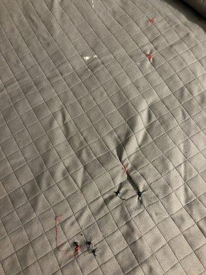 Stains on a poorly repaired comforter