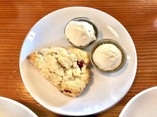 Scone with extra Devonshire cream