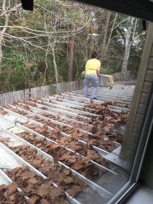 The second woman climbing across the roof of my next door neighbors' home to get to the middle one.