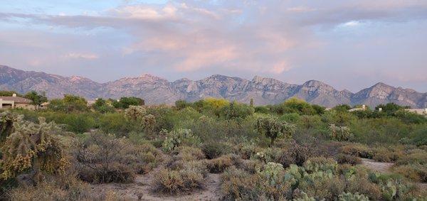 Gorgeous Oro Valley Catalina mountains.