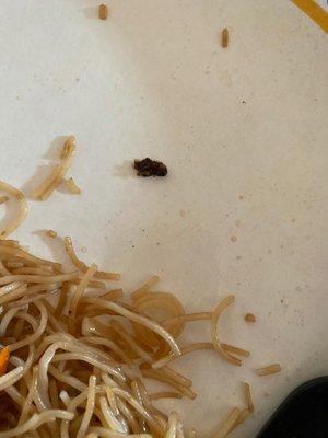 A small roach in my food. I won't be going back to this establishment.