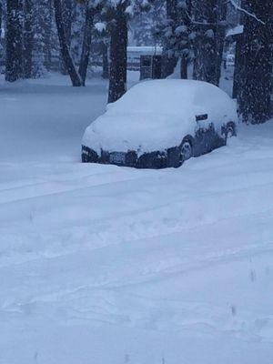 Snow Storm at Donner Pass road.  Beware of Google maps taking you in the wrong direction in this location.