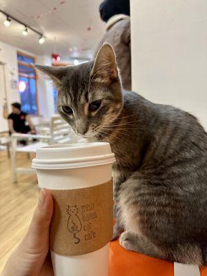 red velvet latte w/ a cute friend!