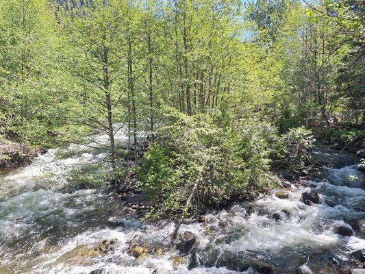 The creek from the bridge entering the campground.