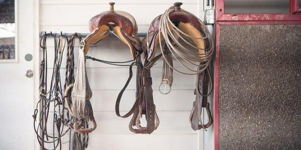 Keep your saddles and other tack safely organized when you're not using it.