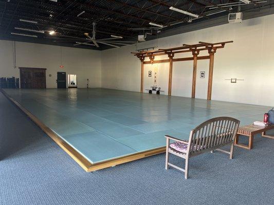 Beautiful training surface in the dojo.