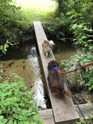 The area has fun little bridges and our pups had fun exploring.