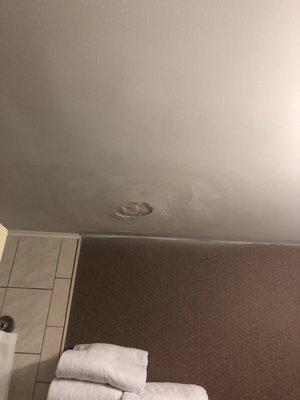 Bathroom ceiling