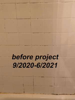 Bathroom mildew
 9/2020-6/2021