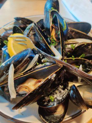 Mussels in cream sauce