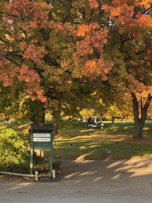 Webster Golf Club