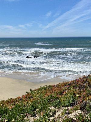 Looking down at the beach.