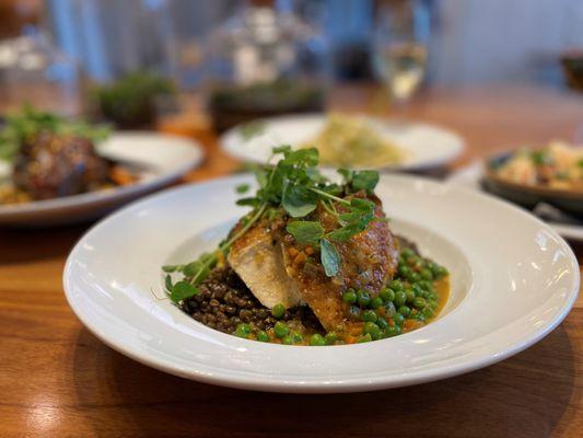 Roasted Vadouvan Chicken - French Curry and Coconut Milk Sauce, Peas, Lentils. Spring 2023