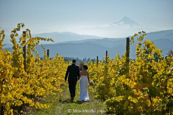 Gorge Crest Vineyards