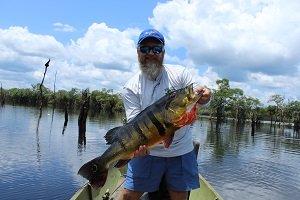 Grande peacock bass of Colombia