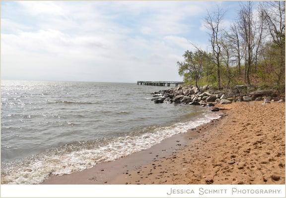 Dog Beach, Pasadena Maryland. Photo taken April 2013.