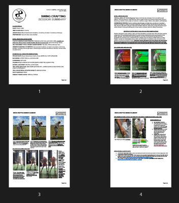 EXAMPLE SWING CRAFTING SESSION SUMMARY - a golden document of record, accountability, data, and reference.