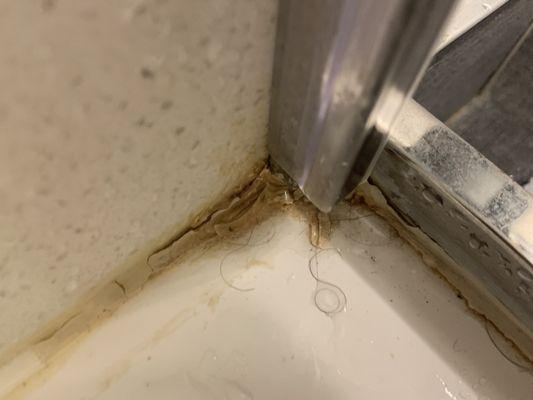 Pubic hairs in the shower