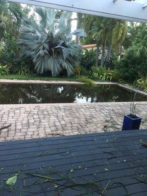 Than the pipe broke and the pool got like a swamp.