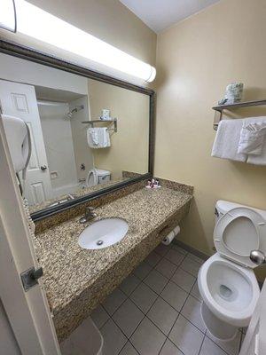 Bathroom mirror, hair dryer and toilet