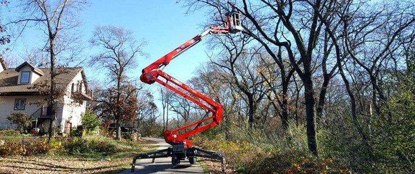 Tree trimming and removal for any size tree.