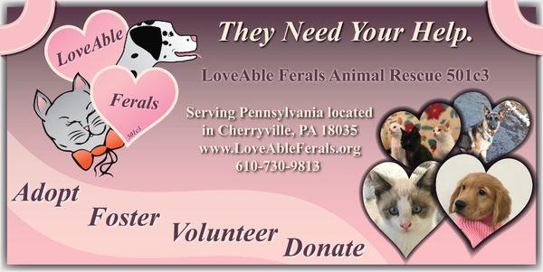 Join us for our in person fundraiser 
Thank you so much! 
LoveAbleFerals.org
#loveableferals 
@petrescueandadoption