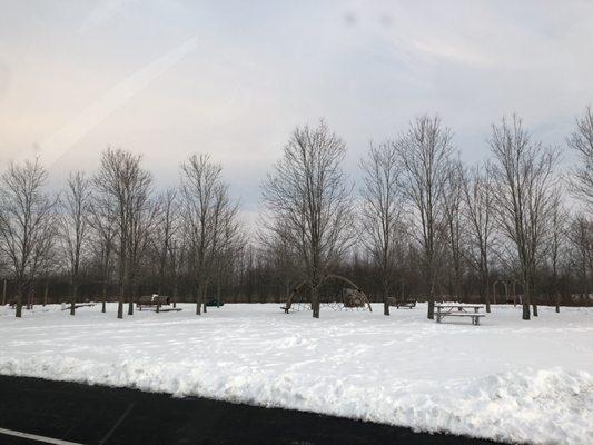 Playground area near picnic shelter