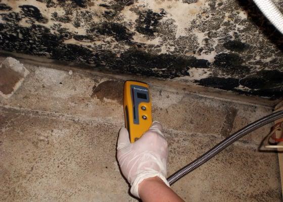 Another member of the On-Site team measuring the moisture content of what was lurking behind the dishwasher