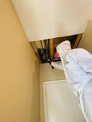 Mold remediation in Scottsdale, Arizona