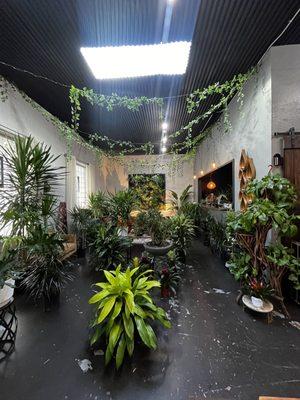 Plants and lounge area