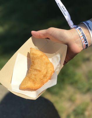 Che buffalo chicken empanada