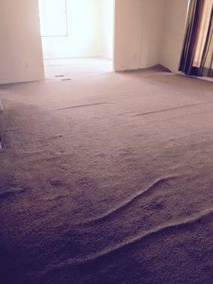 Carpet Stretch - BEFORE