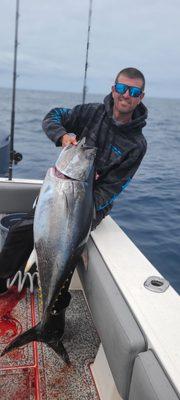 Bluefin Tuna In San Diego