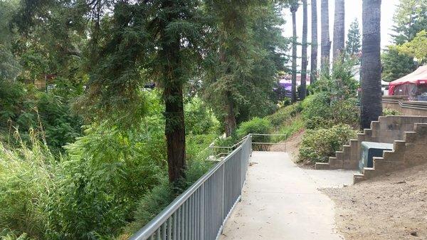 Trail along creek