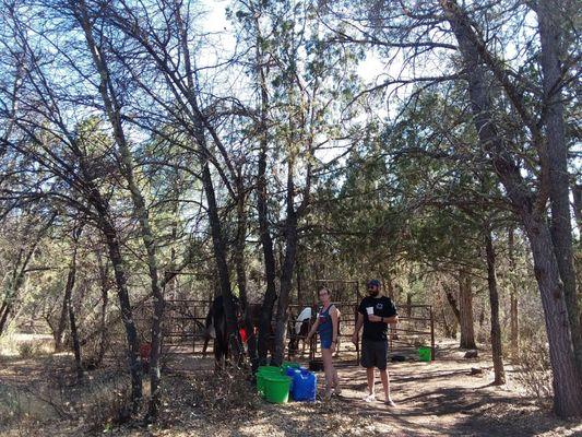 Filling water buckets at convenient spickets.