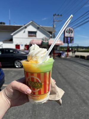 Large Gelati, mango and juicy pear