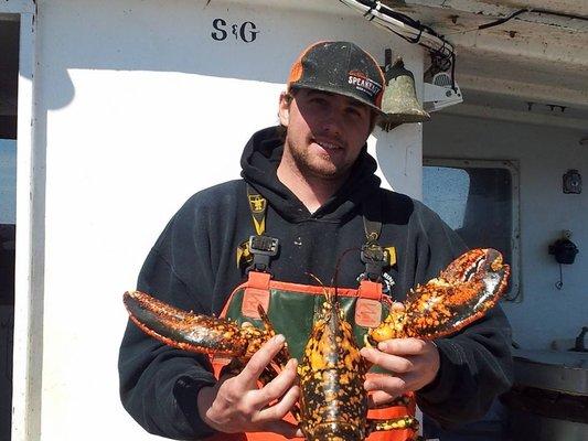 Cousin Bill and a calico lobster!